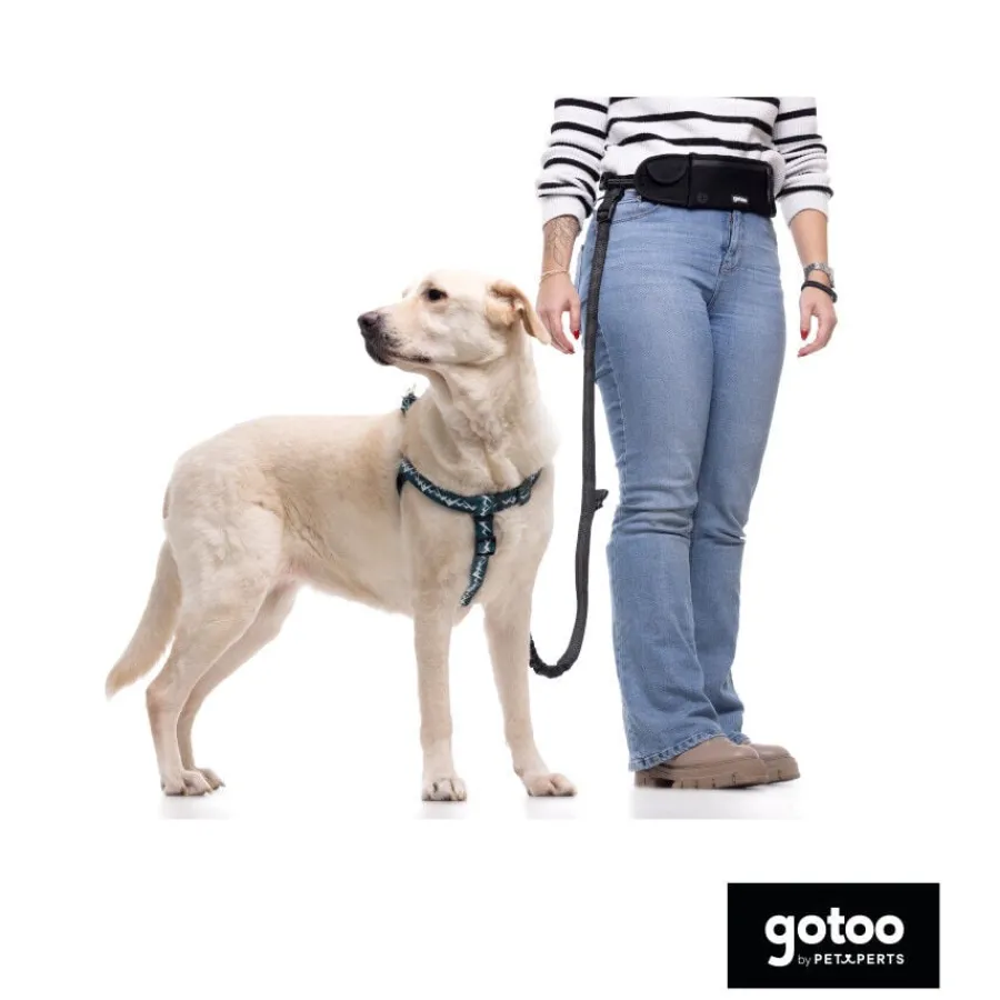 Gotoo Correa manos libres negra para perros Outlet