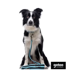 Gotoo Correa reflectante de malla turquesa para perro Outlet