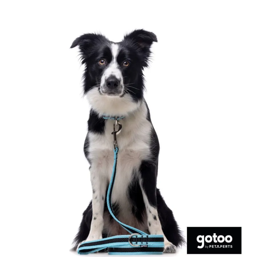 Gotoo Correa reflectante de malla turquesa para perro Outlet