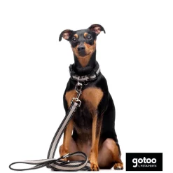 Gotoo Correa reflectante de malla gris para perro Outlet