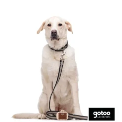 Gotoo Correa reflectante de malla gris para perro Outlet