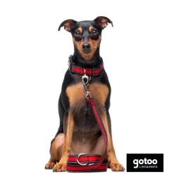 Gotoo Correa reflectante de malla roja para perro Sale