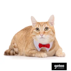 Gotoo Pajarita roja para gatos Clearance