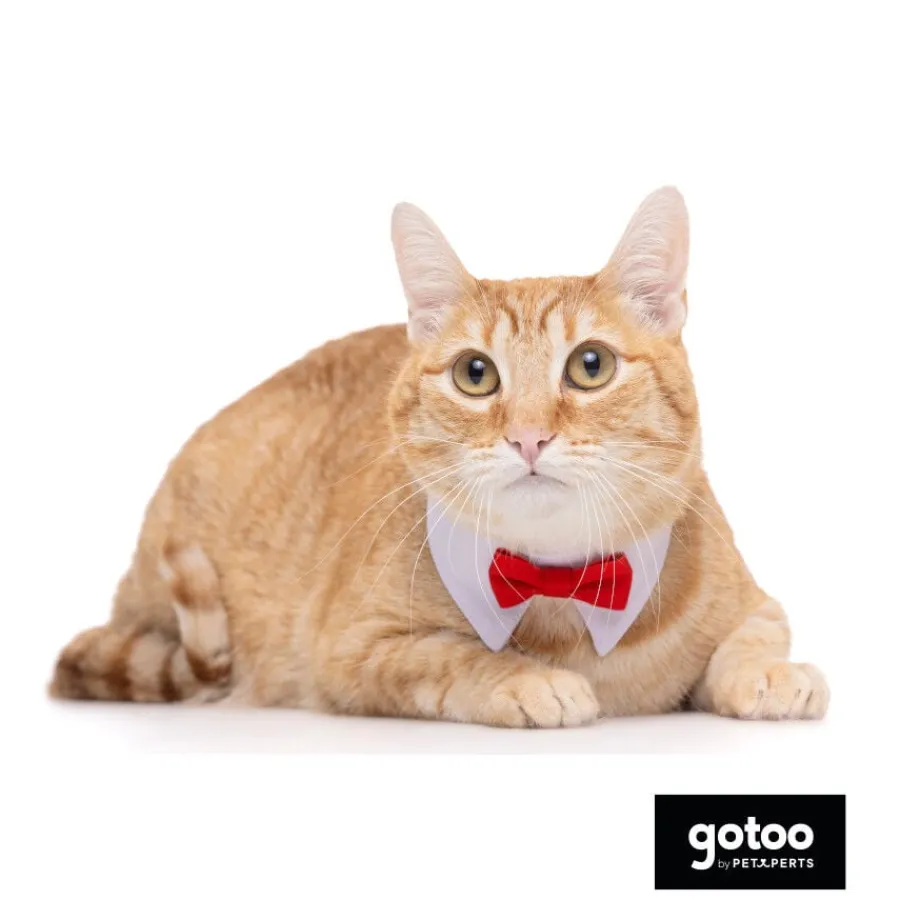 Gotoo Pajarita roja para gatos Clearance