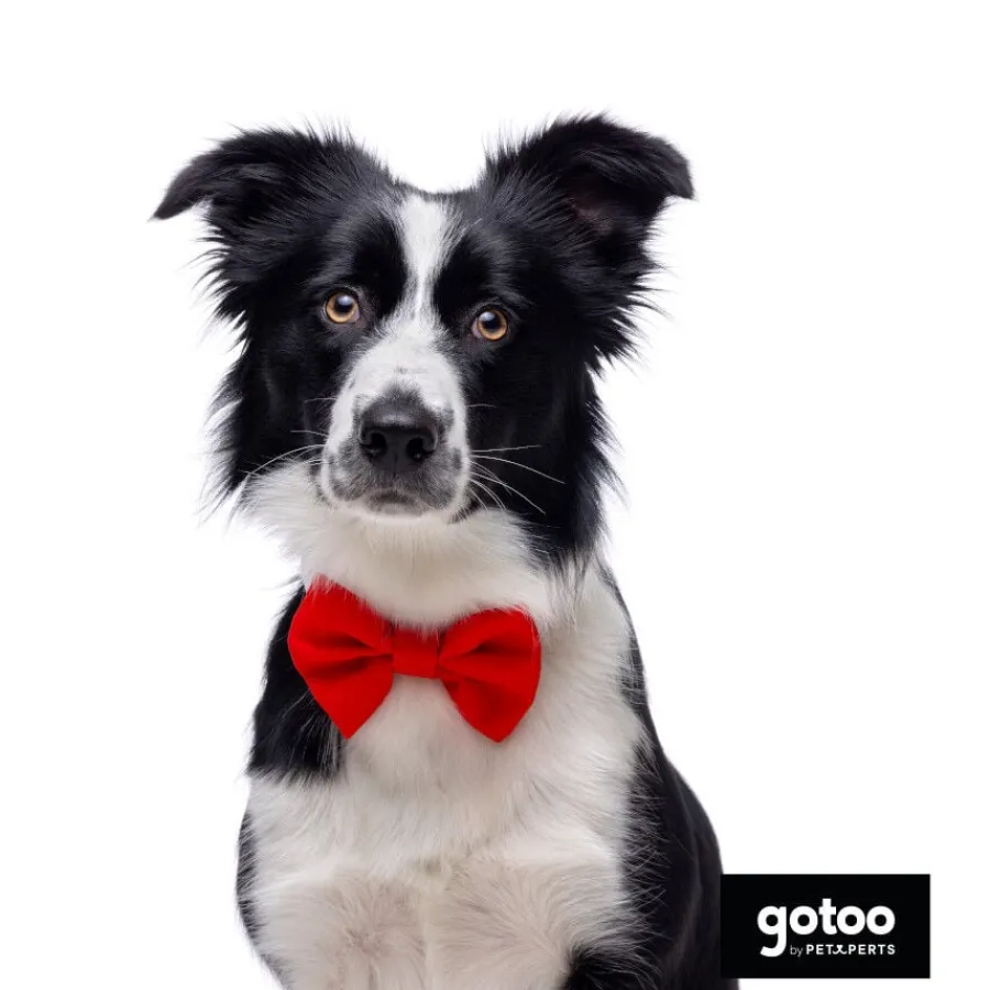 Gotoo Pajarita roja para perros