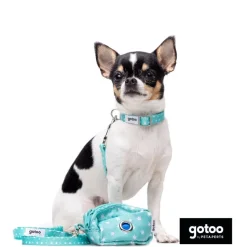 Gotoo Porta bolsas estampado verde para perros Clearance