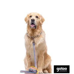 Gotoo Porta bolsas estampado rayas zig-zag para perros Sale