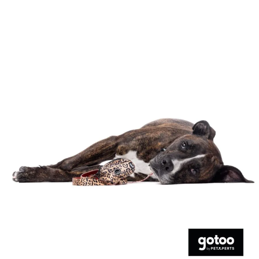 Gotoo Porta bolsas estampado leopardo marrón para perros New