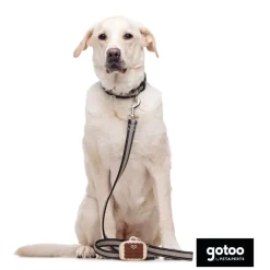 Gotoo Porta bolsas silicona marrón para perros Sale