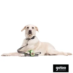 Gotoo Porta bolsas silicona avocado para perros Discount