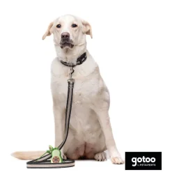 Gotoo Porta bolsas silicona avocado para perros Discount