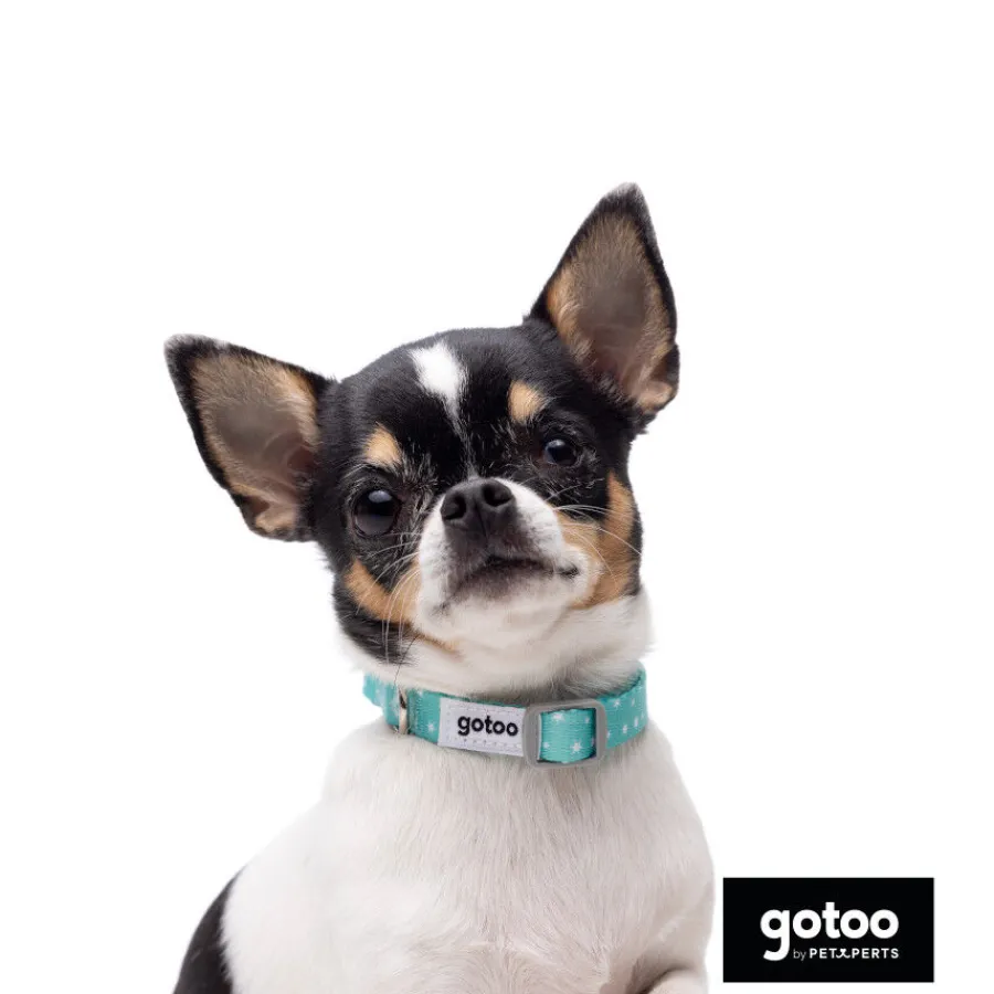Gotoo Set Correa y Collar estampado con estrellas verde para perros Hot