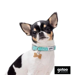 Gotoo Set Correa y Collar estampado con estrellas verde para perros Hot