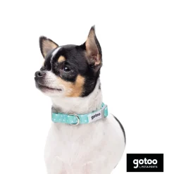 Gotoo Set Correa y Collar estampado con estrellas verde para perros Hot