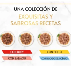 Gourmet Gold Delicias Suculentas Mixtas lata para gatos Discount