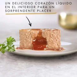 Gourmet Gold Fondant con Atún en paté lata para gatos
