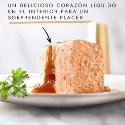 Gourmet Gold Fondant Pollo en Paté lata para gatos New