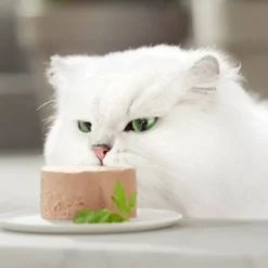 Gourmet Gold Mousse de Pato con Espinacas lata para gatos Online