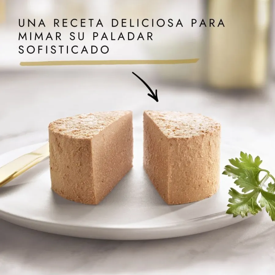 Gourmet Gold Mousse Sabores Variados Sale