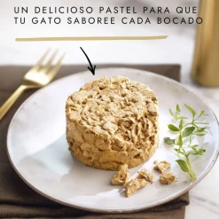 Gourmet Gold Tartelette Varios Sabores lata para gatos Hot