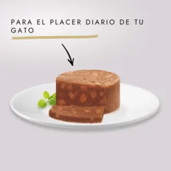 Gourmet Gold Terrine Conejo lata para gatos Clearance