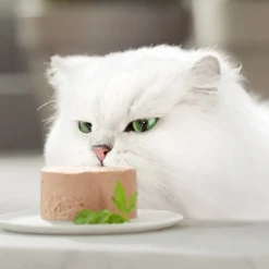 Gourmet Gold Terrine de Pollo lata para gatos Sale