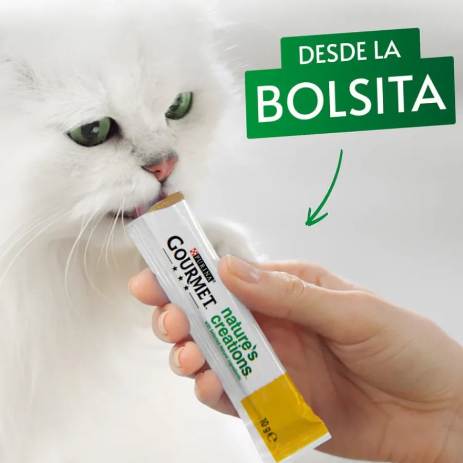 Gourmet Nature’s Creations Snack Húmedo de Buey para gatos New