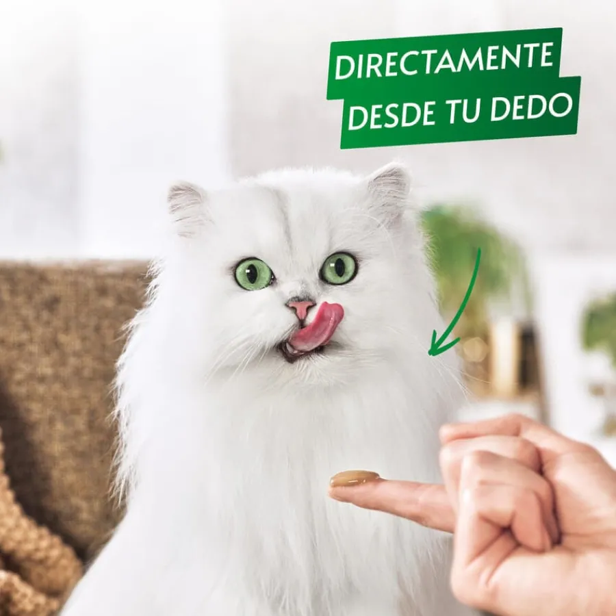 Gourmet Nature’s Creations Snack Húmedo de Buey para gatos New