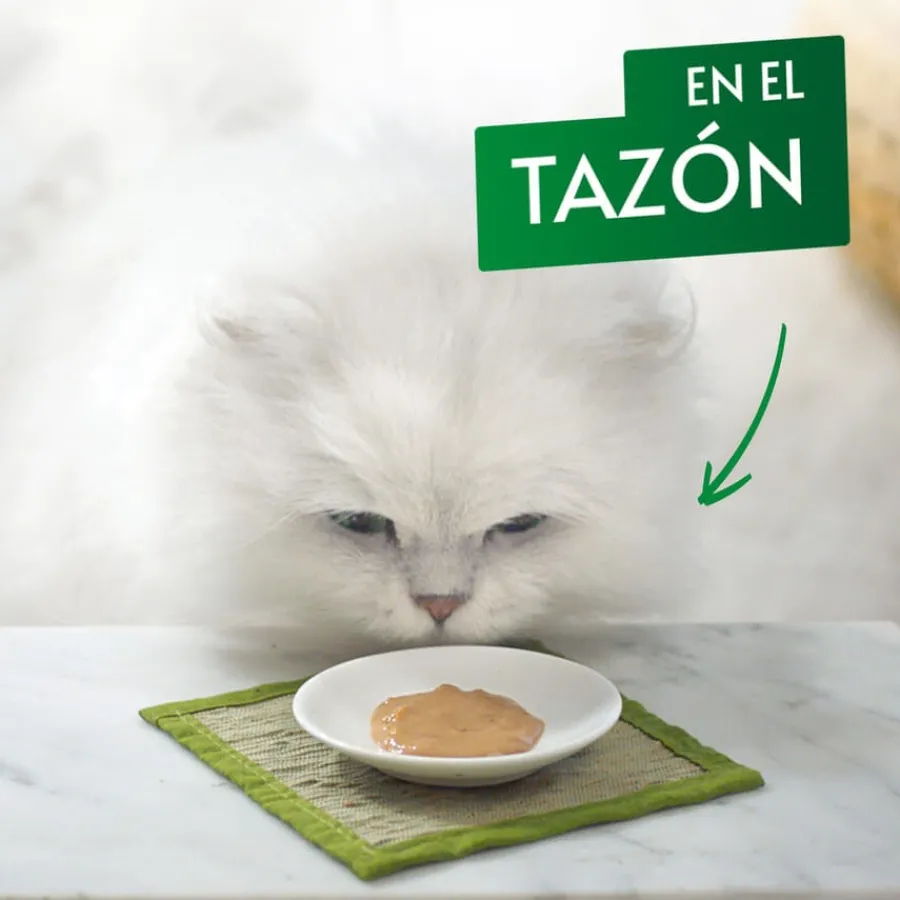 Gourmet Nature’s Creations Snack Húmedo de Salmón para gatos Discount