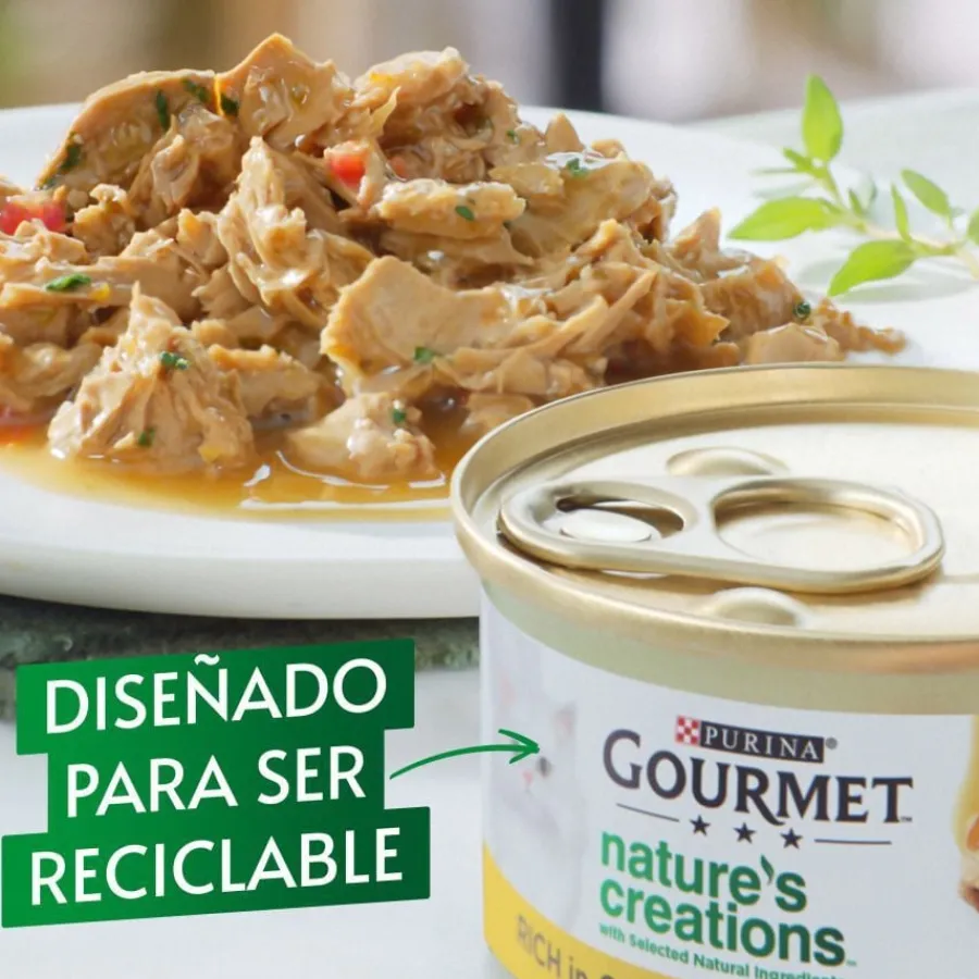 Gourmet Nature's Creations Mini Filetes de Carne lata para gatos