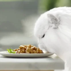 Gourmet Perle Filetes de Pollo y Buey en salsa sobre para gatos New
