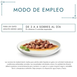 Gourmet Perle Filetes de Pollo y Buey en salsa sobre para gatos New