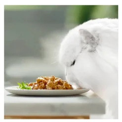 Gourmet Perle Filetes en salsa sobre para gatos Online
