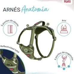 Company Of Animals Halti arnés anatómico con asa verde para perros Hot