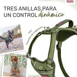 Company Of Animals Halti arnés anatómico con asa verde para perros Hot
