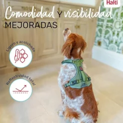 Company Of Animals Halti arnés anatómico con asa verde para perros Hot