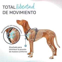 Company Of Animals Halti arnés anatómico con asa gris para perros Outlet