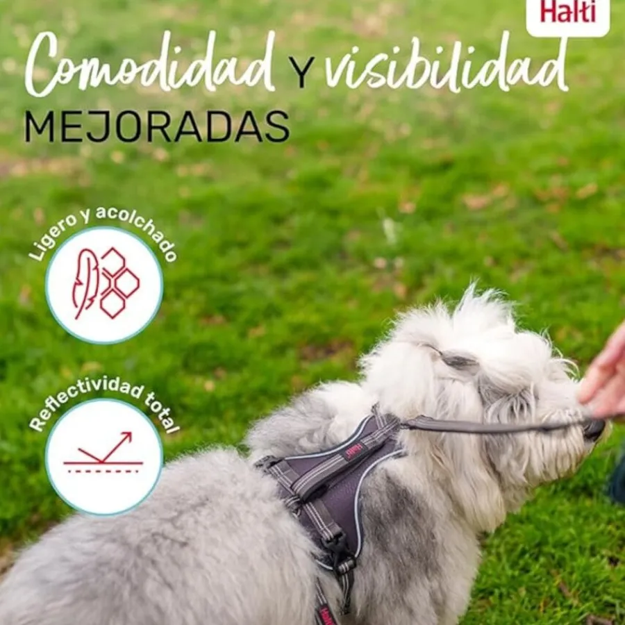 Company Of Animals Halti arnés anatómico con asa gris para perros Outlet