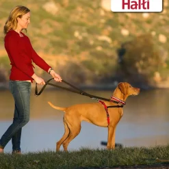 Halti Arnés de Adiestramiento Antitirones para perros Sale