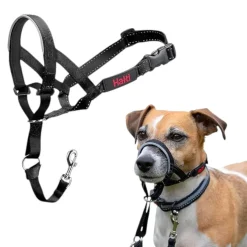 Company Of Animals Halti collar con bozal de tela negro para perros Discount