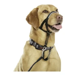 Company Of Animals Halti collar con bozal de tela negro para perros Discount