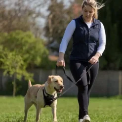 Company Of Animals Halti correa de adiestramiento roja para perros medianos y pequeños Clearance