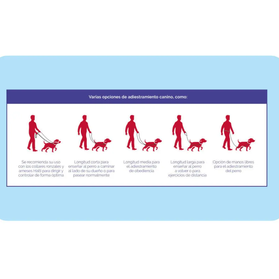 Company Of Animals Halti correa de adiestramiento roja para perros medianos y pequeños Clearance