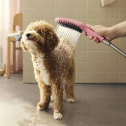 Hansgrohe Alcachofa de Ducha Rosa para perros Online
