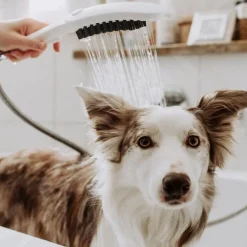 Hansgrohe Alcachofa de Ducha Blanca para perros Sale
