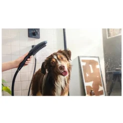 Hansgrohe Alcachofa de Ducha Negra para perros Hot