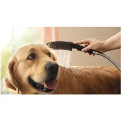 Hansgrohe Alcachofa de Ducha Negra para perros Hot