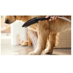 Hansgrohe Alcachofa de Ducha Negra para perros Hot
