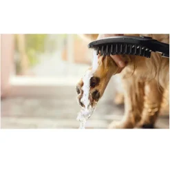 Hansgrohe Alcachofa de Ducha Negra para perros Hot