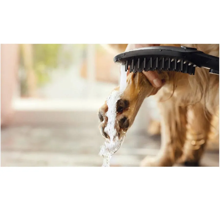 Hansgrohe Alcachofa de Ducha Negra para perros Hot
